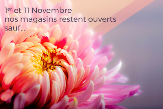 Férié du mois de novembre ouverture magasins Sugar